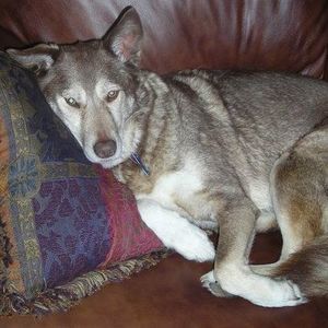 Meet your Posher, Patti